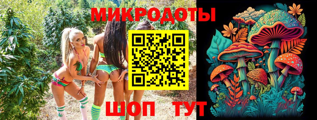 Псилоцибиновые грибы мицелий  Псилоцибиновые грибы прущие грибы  Тында  Вход с VPN 